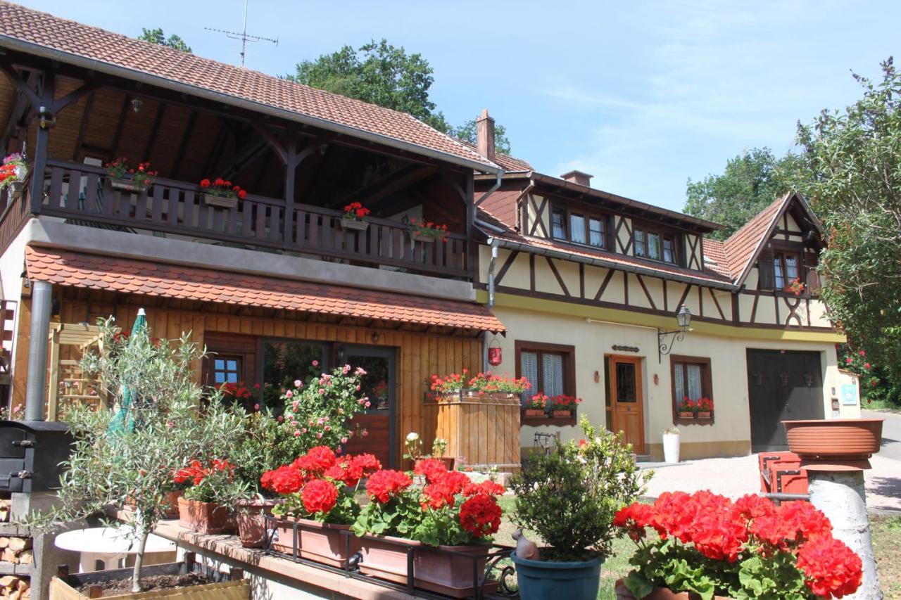 La Maison De Vacances Nothalten ภายนอก รูปภาพ