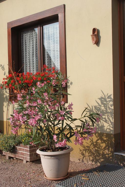 La Maison De Vacances Nothalten ห้อง รูปภาพ